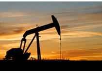 Professional Oilfield Software